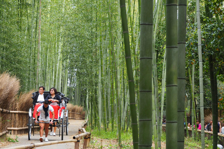 Från Kyoto: Kyoto privat skräddarsydd sightseeing dagsutflykt