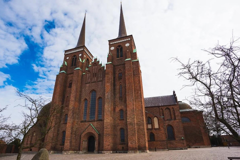 Rondleiding door Roskilde, de Engelse Vikingstad