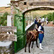 Crete: Traditional Cretan Night: Live Show and Dinner