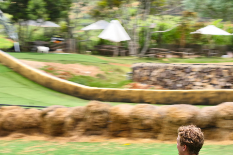 Dalat: Mario Kart - Mongo Land - Countryside Small Group