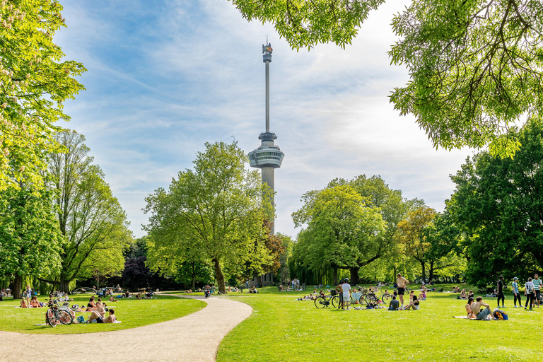 Rotterdam City Card: Discounts & Unlimited Public Transport 2-Day Rotterdam City Card + Unlimited Public Transport