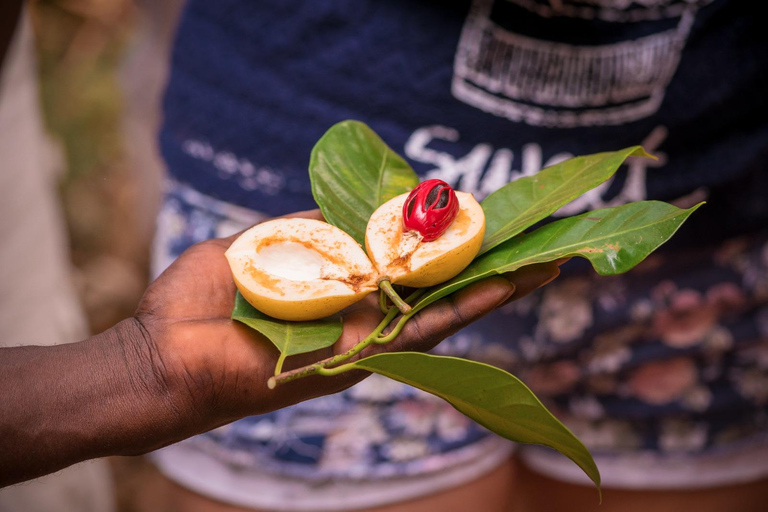 Dagtrip Zanzibar: Stone Town, Spice Tour en GevangeniseilandGedeelde groepsreis