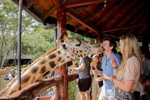 Nairobi: Giraffe Feeding & Photography Experience