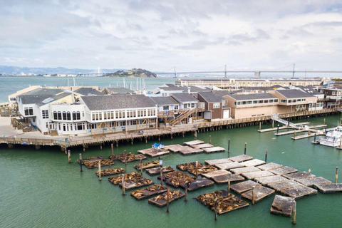 San Francisco: Fisherman's Wharf App Guided Walking Tour Tour Only