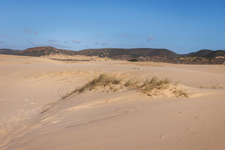 Del Algarve a Lisboa; Traslado guiado con extra ¡Guau!