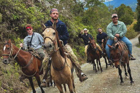 2-hour horseback riding + Private transportation + Photos & videos + Gift for the first 5 to book 2-hour horseback ride + private transportation + photos & videos + gift for the first 5 to book.