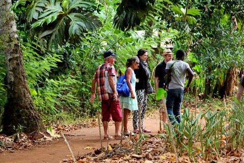 桑给巴尔：乔扎尼森林与香料农场之旅，含茶饮及接送服务桑给巴尔：乔扎尼森林与香料农场游，含茶饮及接送服务