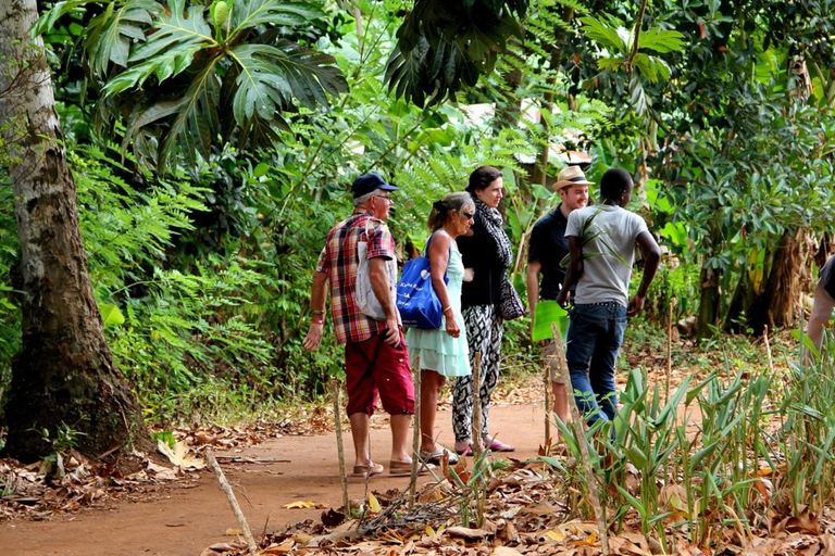 桑给巴尔：乔扎尼森林与香料农场之旅，含茶饮及接送服务桑给巴尔：乔扎尼森林与香料农场游，含茶饮及接送服务