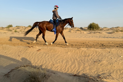 Dubai: Desert Horse Riding Experience at JSR Equestrian Club Shared Group Horse Riding - 1 Hr