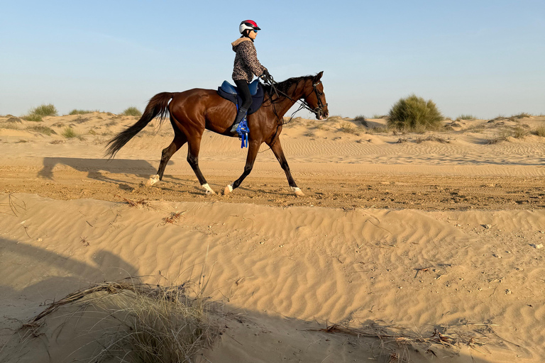 Dubai: Desert Horse Riding Experience at JSR Equestrian Club Shared Group Horse Riding - 1 Hr