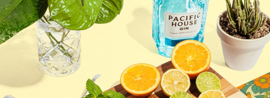 San Francisco : atelier de préparation de cocktails à base de gin