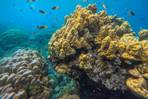 Khao Lak: Surin Islands Escape to Andaman's Edge by Powercat