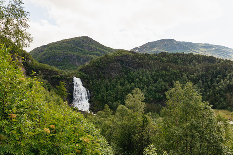 Bergen: Waterfalls of Hardangerfjord Guided Tour