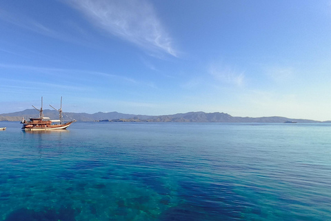 Komodo : 3 jours d&#039;aventure à bord d&#039;une embarcation de plaisanceCabine privée - Bateau de luxe