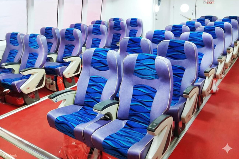 From Cebu City: Ferry Ticket to Tagbilaran or Siquijor CEBU TO TAGBILARAN | TOURIST CLASS