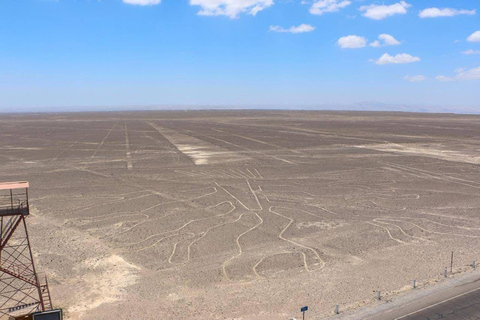 Nazca: Aerial experience over the Nazca Lines in a light aircraft