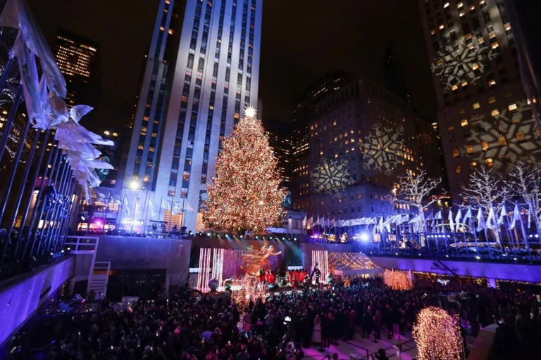 NYC: Central Park Christmas Lights Horse-Drawn Carriage Ride