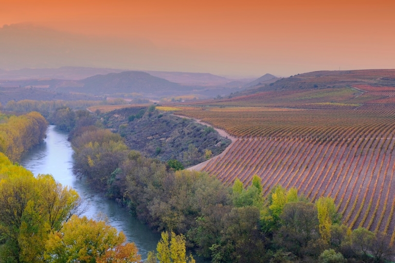 La Rioja Vineyards Private Tour ab Bilbao (3 Weingüter)