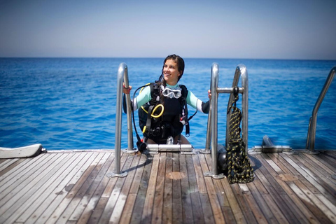 Hurghada: Dive Experience for Beginners or Certified Divers Full-Day Scuba Diving for Certified Divers