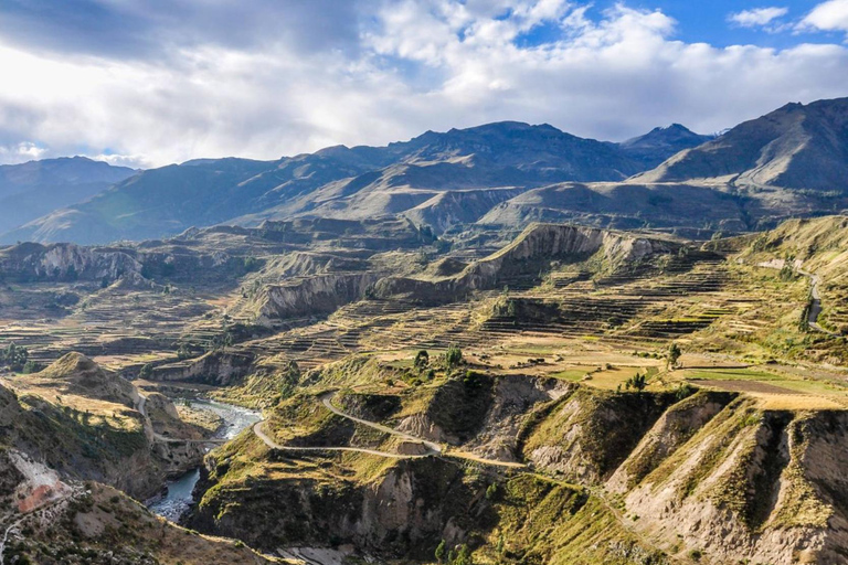 Depuis Arequipa : visite guidée du canyon de Colca avec repasOption 1 : Excursion au canyon de Colca avec petit-déjeuner