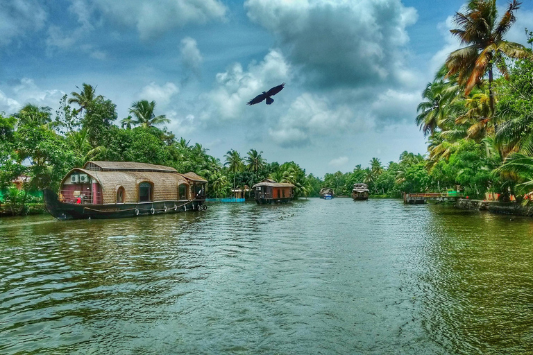 From Cochin: Alleppey Houseboat Day Tour with Lunch