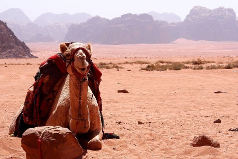 Hurghada: tour en jeep safari, paseo en camello y pueblo beduinoTour desde Hurghada