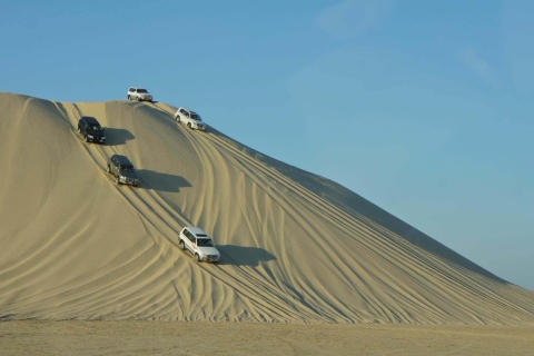 Doha: Desert Safari, Dune Bashing, Camel ride, Inland Sea Desert Safari, dune bashing, camel ride, inland sea day tour