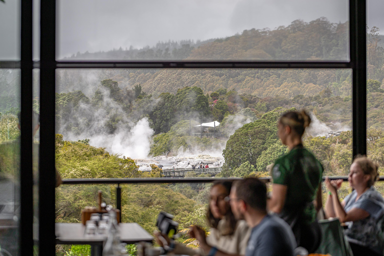 From Auckland:Rotorua Day Trip with Te Puia & Polynesian Spa