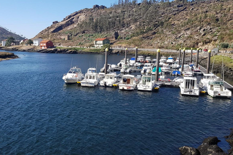 Tour Privado a Finisterre y Costa da Morte desde Santiago