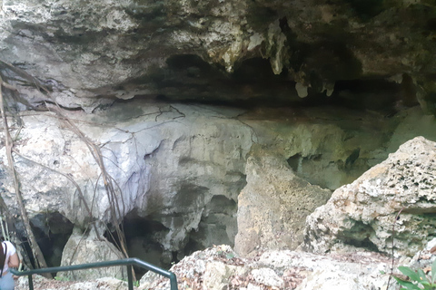 Punta Cana: Viagem Privada de Meio Dia Cultural com Sabores DominicanosPunta Cana: viagem cultural privada de meio dia pelos sabores dominicanos