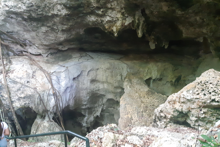 Punta Cana: Viagem Privada de Meio Dia Cultural com Sabores DominicanosPunta Cana: viagem cultural privada de meio dia pelos sabores dominicanos