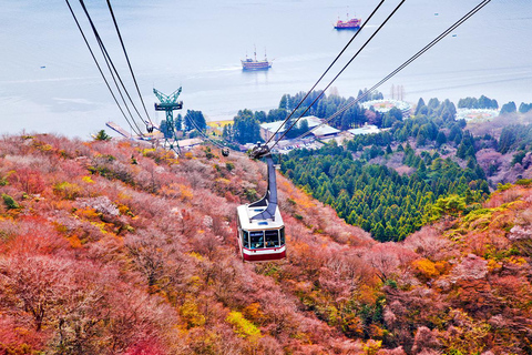 Fuji-berget: Dagsutflykt till Oshino Hakkai, Hakone, Owakudani linbanaShinjuku Station 8:30