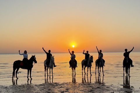 Hurghada: Horse Riding in the Desert & Beach Experience 1 HR Desert Horse Riding Experience without transfer