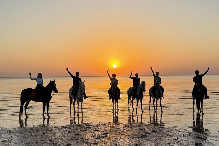Hurghada: Horse Riding in the Desert & Beach Experience 1 HR Desert Horse Riding Experience without transfer