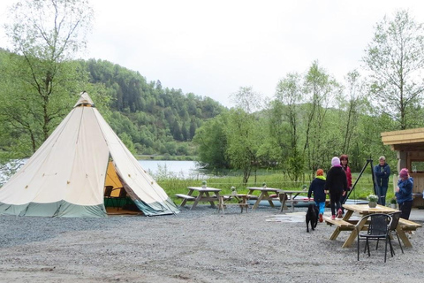 Måløy: Llama farm visit