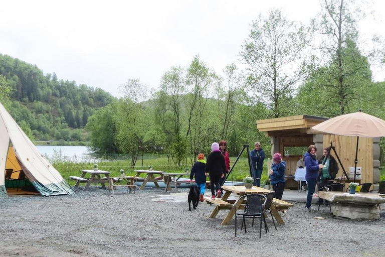 Måløy: Llama farm visit