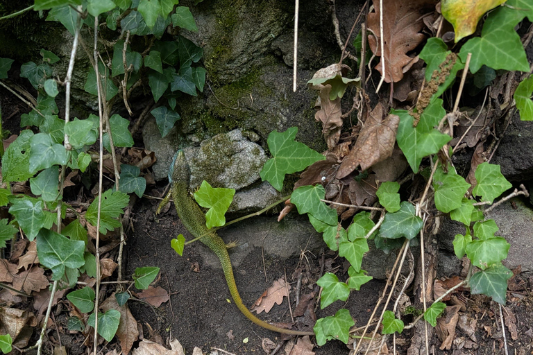 Vienna: Scenic Hiking Tour to Dürnstein/Wachau with Transfer