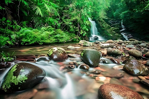 Viagem de 1 dia para caminhada no Parque Nacional Bach Ma com serviço de busca em Hue