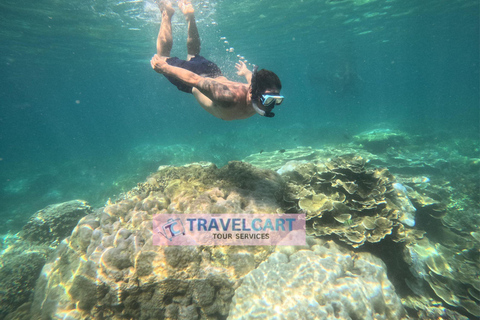 Excursão de um dia a Port Barton