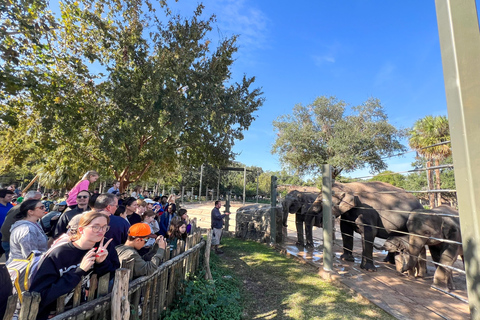 Houston Zoo Admission Ticket