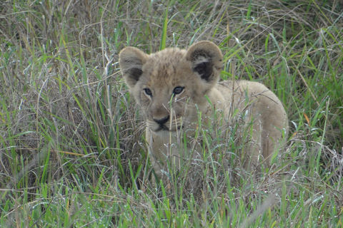 Uganda: 18 Tage Traumurlaub von Ruanda aus