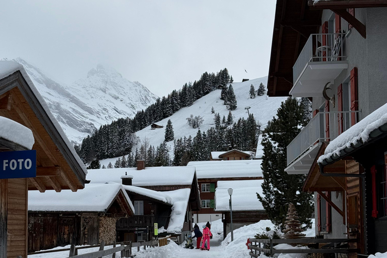 Bern: Schlitten-Tagestour nach Lauterbrunnen und Mürren