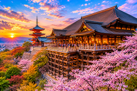 Kyoto/Osaka: Kyoto and Nara Private & Customizable Day Tour