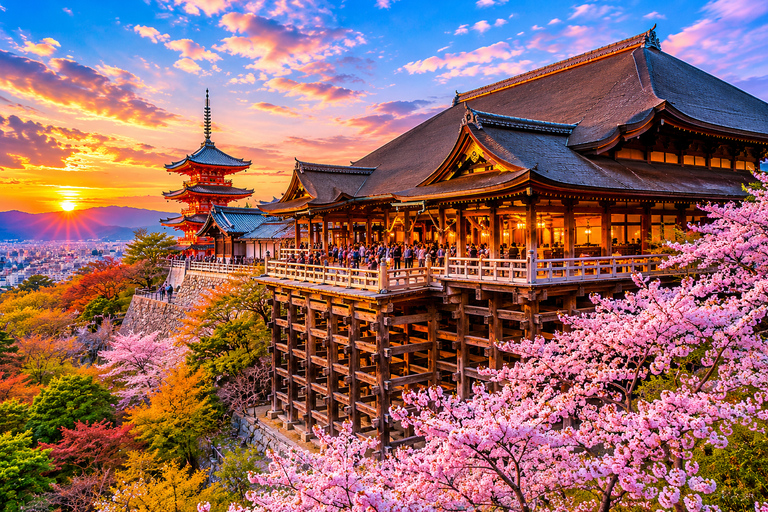 Kyoto/Osaka: Kyoto and Nara Private & Customizable Day Tour