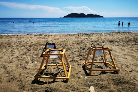 Zante: Excursión de medio día a la Isla de las Tortugas y las Cuevas de Keri