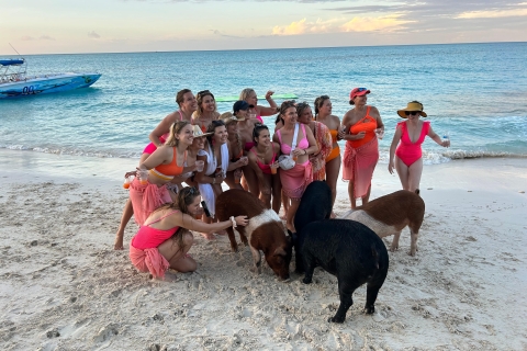 007-Matin All Inclusive Baignade avec des cochons à Rose Island007 All Inclusive - Nager avec des cochons à Rose Island