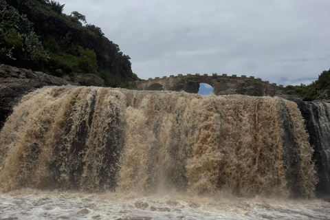 From Addis: Blue Nile Gorge, Baboons & Waterfalls