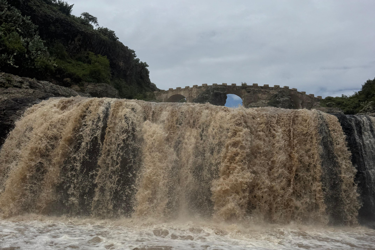 From Addis: Blue Nile Gorge, Baboons & Waterfalls