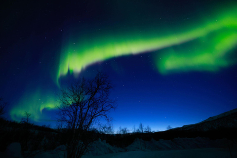 Tromsö: Norrskenstur med fotografering (kinesiska)