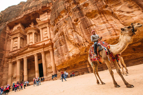 Visite privée d&#039;une journée à Petra et à la mer Morte